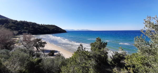 A curve of pale sand below pine-covered hills at Kavaklıburun cove in Dilek Peninsula National Park, with open blue sea and distant mountains