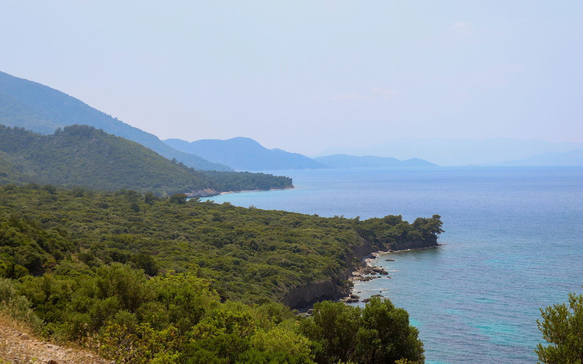 Pine-covered mountain falling straight into a clear turquoise cove on the Dilek Peninsula, with Samos on the horizon