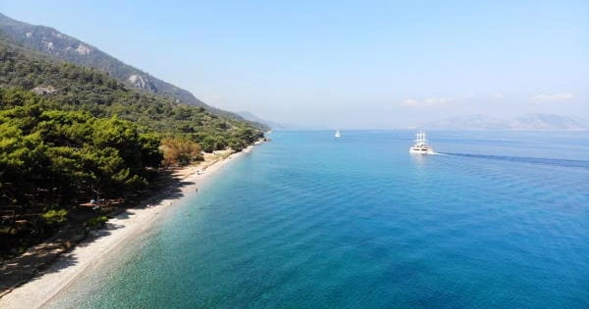 Pine forest running down to a pale pebble beach and turquoise water south of Kuşadası, with a wooden gulet under sail offshore