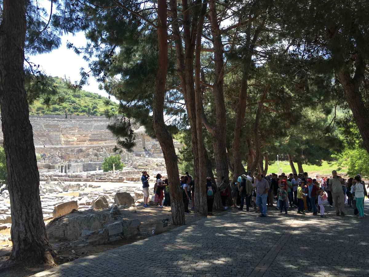 A large tour group standing on a wide paved path in the shade of tall pines at the lower end of Ephesus, with the Great Theater and a green hillside behind them